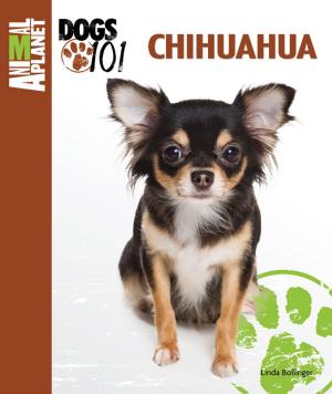 Cover of the book Chihuahua by Diane Morgan