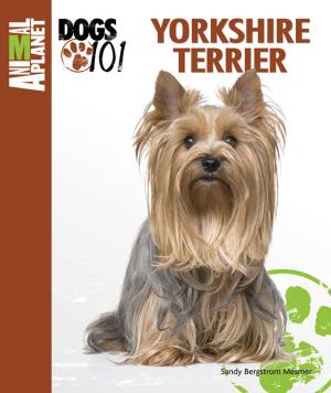 Cover of the book Yorkshire Terrier by Myra Savant-Harris