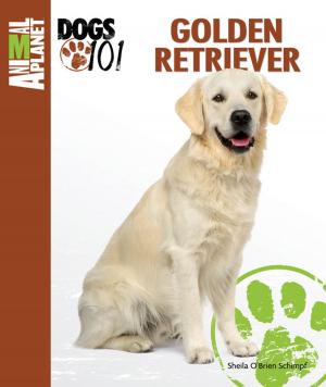 Cover of the book Golden Retriever by Tracy Libby