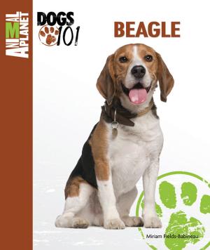 Cover of the book Beagle by Tammy Gagne