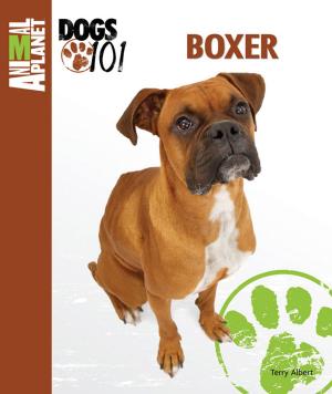 Cover of the book Boxer by Robert Marier
