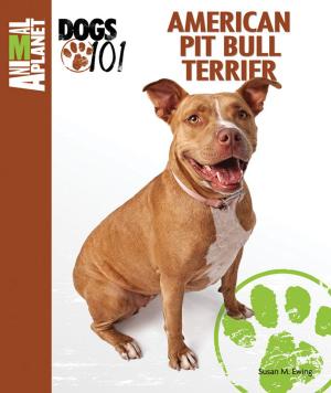 Cover of the book American Pit Bull Terrier by Amy Fernandez