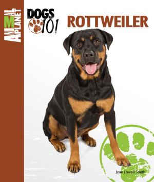 Cover of the book Rottweiler by Sheila Webster Boneham