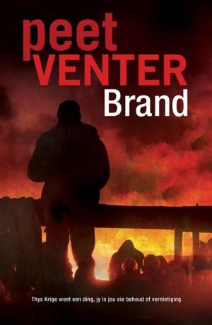 Cover of the book Brand by Kristel Loots