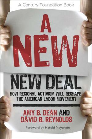 Cover of the book A New New Deal by Thomas A. Kochan, Adrienne E. Eaton, Robert B. McKersie, Paul S. Adler