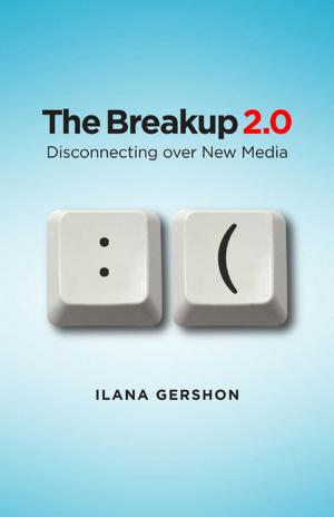 Cover of the book The Breakup 2.0 by Robert J. Sternberg