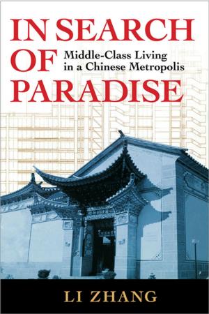 Cover of the book In Search of Paradise by Greg J. Bamber, Jody Hoffer Gittell, Thomas A. Kochan, Andrew Von Nordenflycht
