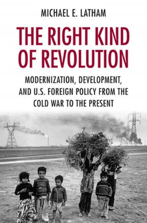 Cover of the book The Right Kind of Revolution by Michael Evan Gold