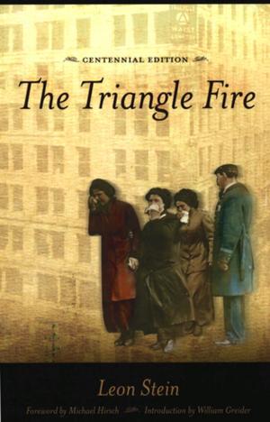 Cover of the book The Triangle Fire by Sarah Davis-Secord