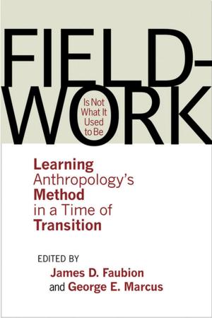 Cover of the book Fieldwork Is Not What It Used to Be by Elizabeth Garrett