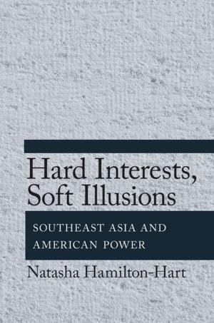 Cover of the book Hard Interests, Soft Illusions by N. Katherine Hayles