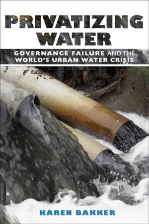 Cover of the book Privatizing Water by Theodora K. Dragostinova
