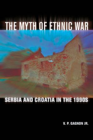 Cover of the book The Myth of Ethnic War by Jeffrey Burton Russell