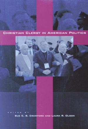 Cover of the book Christian Clergy in American Politics by S. Nassir Ghaemi