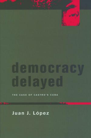 bigCover of the book Democracy Delayed by 