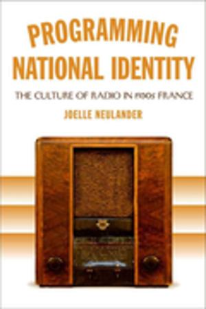 Cover of the book Programming National Identity by Jay Edwards, Nicolas Kariouk Pecquet du Bellay de Verton