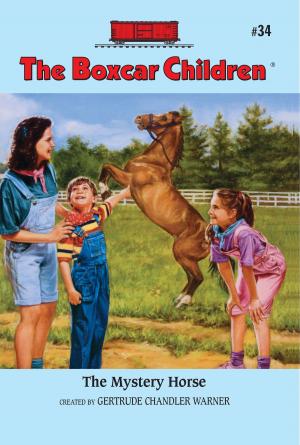 Cover of the book The Mystery Horse by Sherry Shahan
