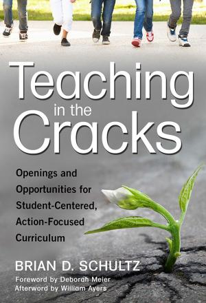 Book cover of Teaching in the Cracks