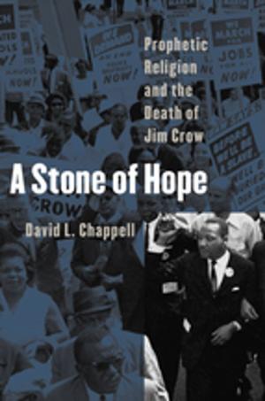 Cover of the book A Stone of Hope by Annemarie Schimmel