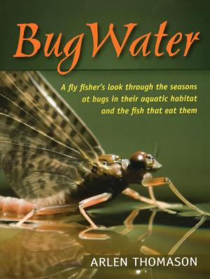 Cover of the book BugWater by Lorett Treese