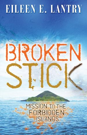 Cover of the book Broken Stick by Scott R. Ward