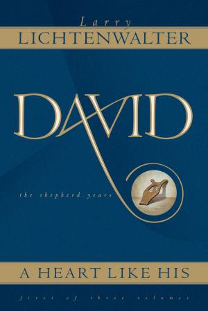 Cover of the book David by Derek J. Morris