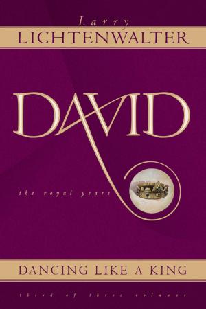 Cover of the book David by Sally Pierson Dillon