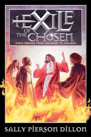 Cover of the book Exile of the Chosen by Trudy J. Morgan-Cole