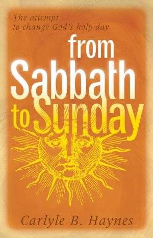 Cover of the book From Sabbath to Sunday by Jon Paulien