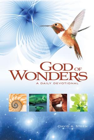 Cover of the book God of Wonders by Sally Pierson Dillon