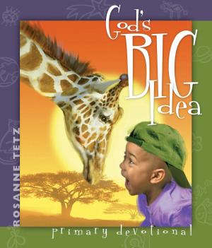 Cover of the book God's Big Idea by Trudy J. Morgan-Cole