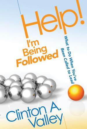 Cover of the book Help! I'm Being Followed by Rachel Lemons