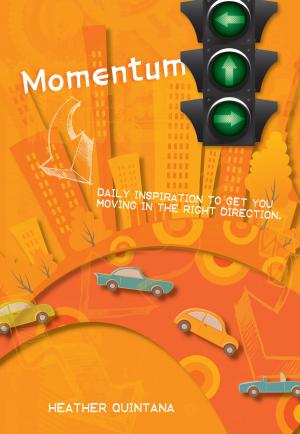 Cover of the book Momentum by Luke B. Heimann
