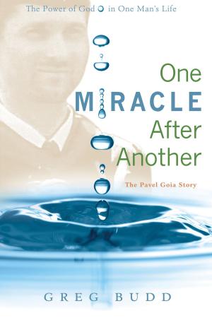 Cover of the book One Miracle After Another by Mervyn A. Warren