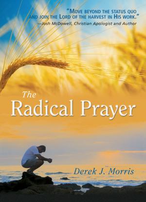 Book cover of Radical Prayer