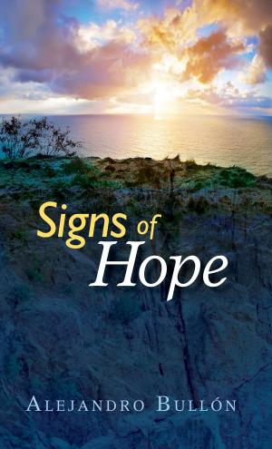 Cover of the book Signs of Hope by Scott Silverii