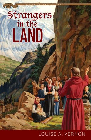Cover of the book Strangers in the Land by RosAnne C. Tetz