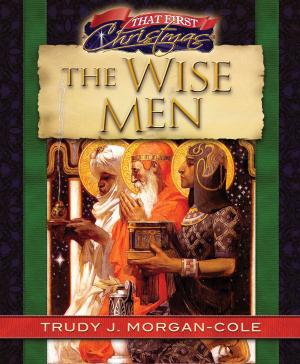 Cover of the book The Wise Men by Patricia Gilbert