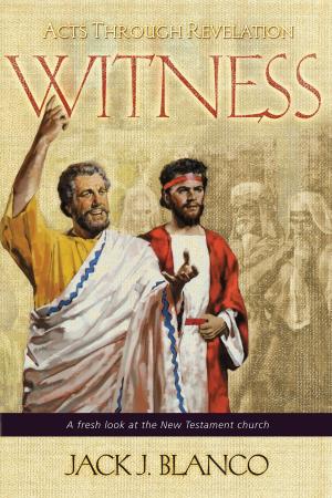 Cover of the book Witness by Sara Saunders