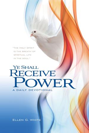 Cover of the book Ye Shall Receive Power by Andy Nash