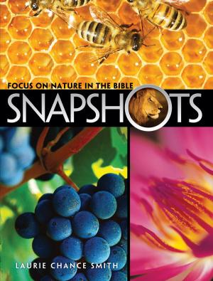 Cover of the book Snapshots by Jim Ayer