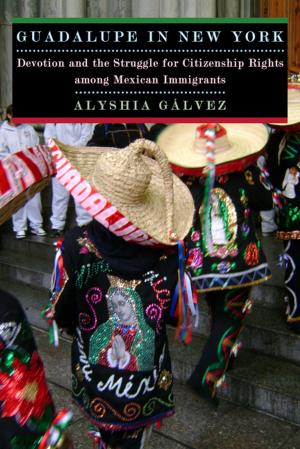 Cover of the book Guadalupe in New York by Josh Lambert