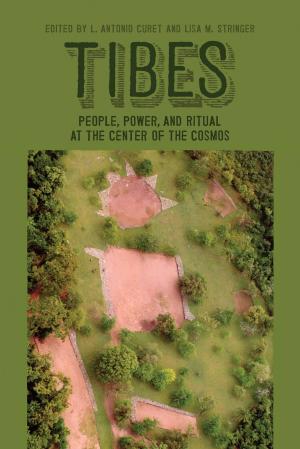 Cover of the book Tibes by Jeffrey DeShell