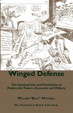 Cover of the book Winged Defense by Claudia Durst Johnson
