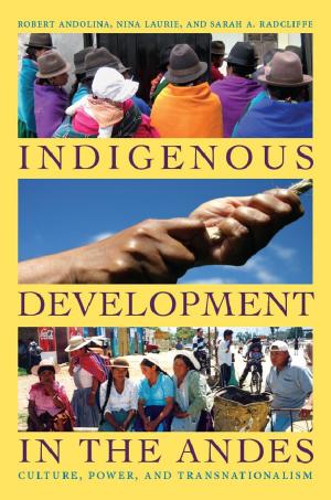 Cover of the book Indigenous Development in the Andes by W. T. Lhamon Jr., Marybeth Hamilton, Josh Kun, Ned Sublette