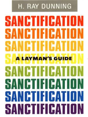 Cover of the book A Layman's Guide to Sanctification by Stephen Bennett