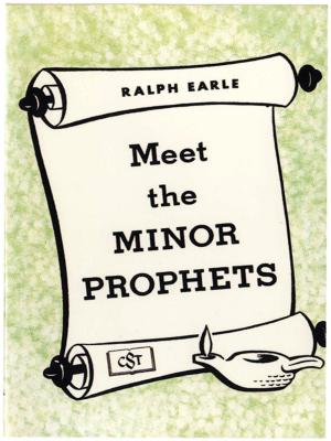 bigCover of the book Meet the Minor Prophets by 