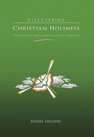 Cover of the book Discovering Christian Holiness by Stan Toler, Jerry Brecheisen