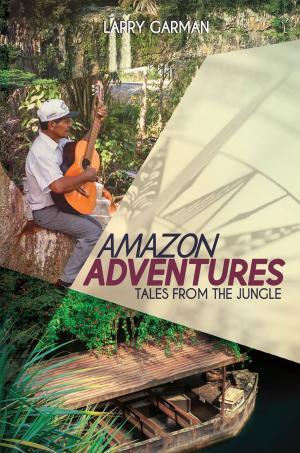 Cover of the book Amazon Adventures by P. T. Ellyson
