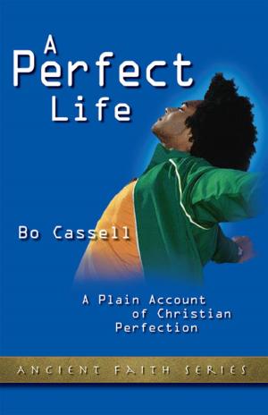 Cover of the book A Perfect Life by Dean Blevins, Mark Maddix